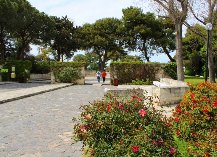 Venizelos Graves