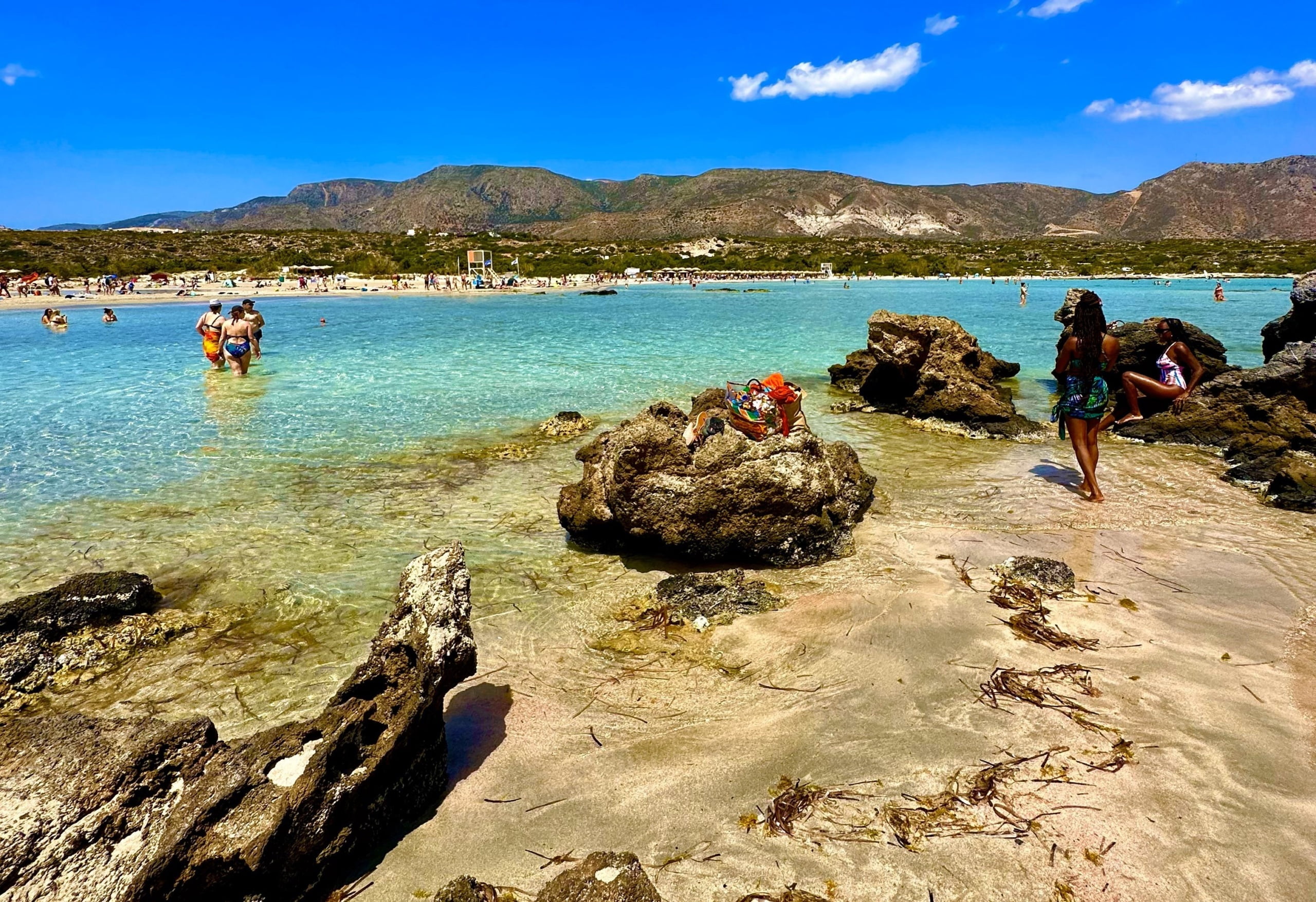 Daily Excursions & Rental Cars